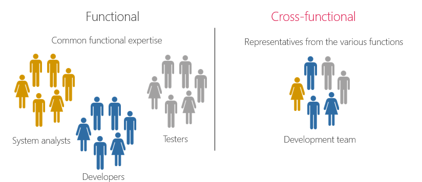 functional vs cross-functional